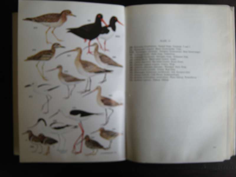 Roberts Birds  of South Africa  G R McLachlan & R Liversidge