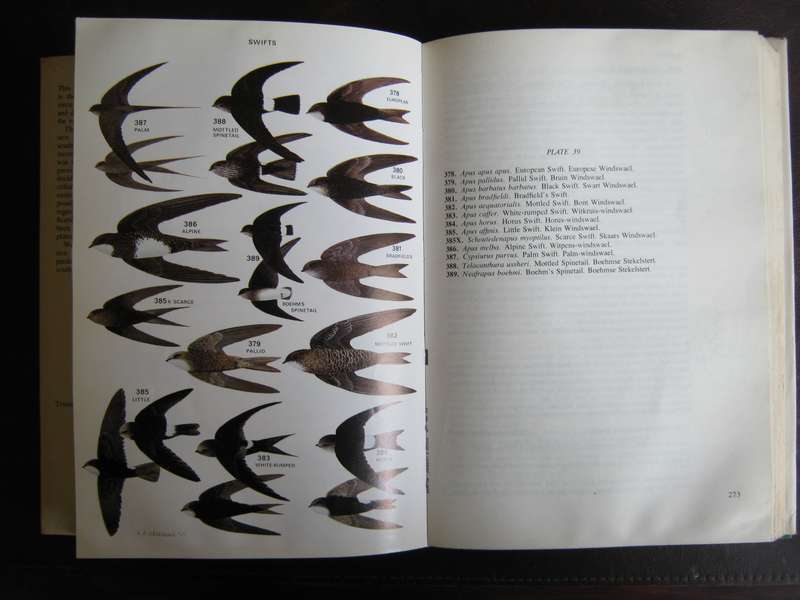 Roberts Birds  of South Africa  G R McLachlan & R Liversidge