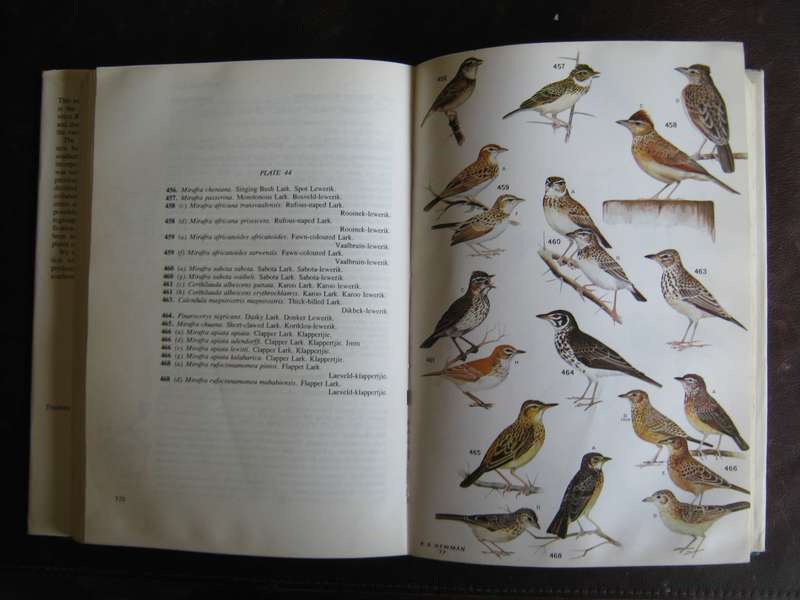 Roberts Birds  of South Africa  G R McLachlan & R Liversidge