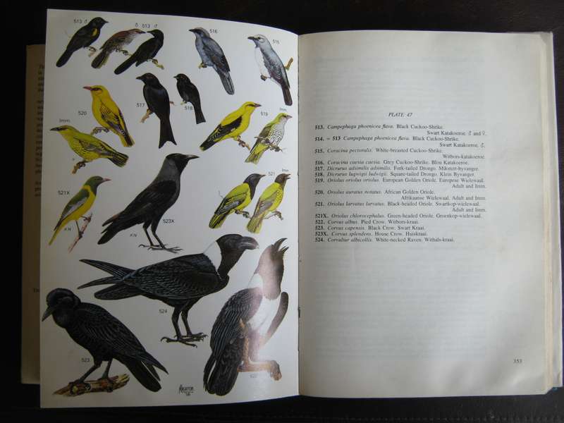 Roberts Birds  of South Africa  G R McLachlan & R Liversidge