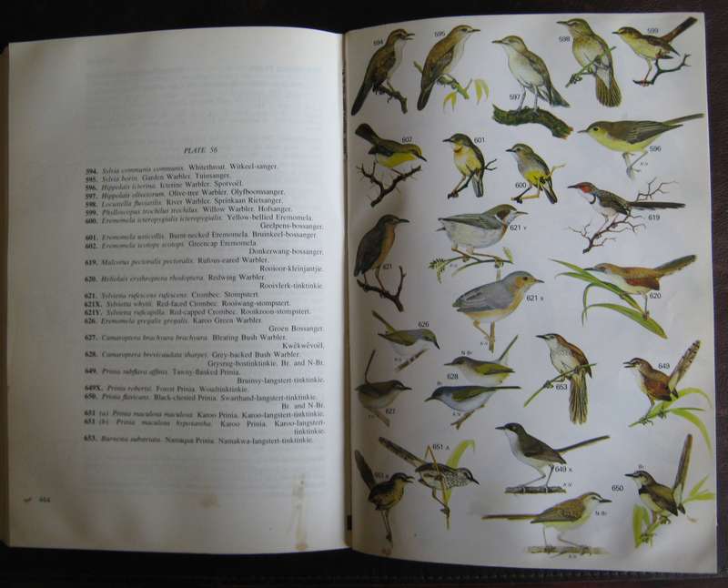 Roberts Birds  of South Africa  G R McLachlan & R Liversidge