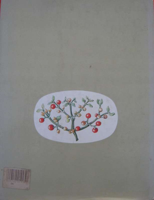 Transvaal Wild Flowers Paintings by: Anita Fabian. Text by Gerrit Germiushuizen