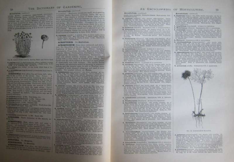 The Illustrated Dictionary of Gardening An Encyclopaedia of Horticulture: 10 Volumes