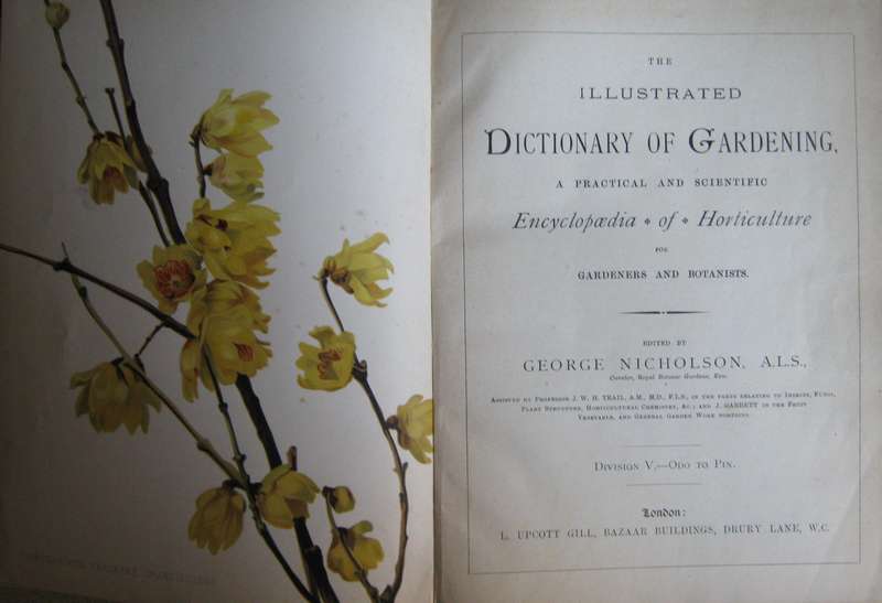 The Illustrated Dictionary of Gardening An Encyclopaedia of Horticulture: 10 Volumes