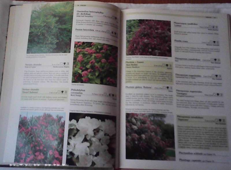 Keith Kirsten's Complete Garden Manual for South Africa