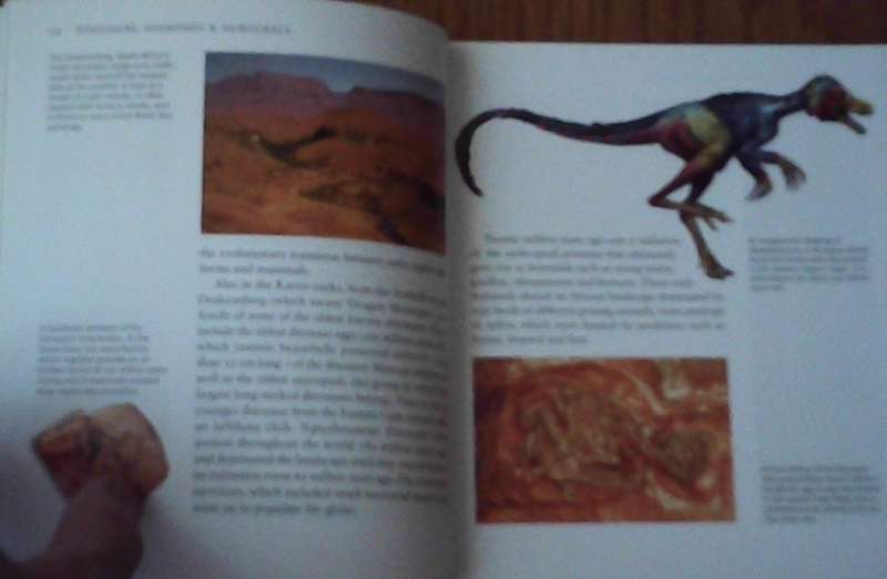 Dinosaurs, Diamonds And Democracy Francis Wilson