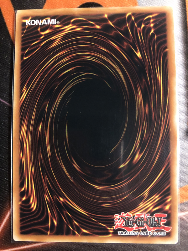 Black Rose Dragon DUDE-EN010 Yugioh trading card