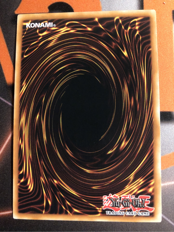 Black Rose Dragon (Alternate Art)  MGED-EN026 Yugioh trading card