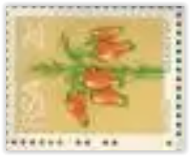 RSA 1973 2ND DEFINITIVE FLOWERS 2c MNH EXTENDED CONTROL  DATED 1973/10/23