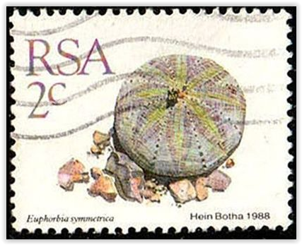 Stamps RSA 2C