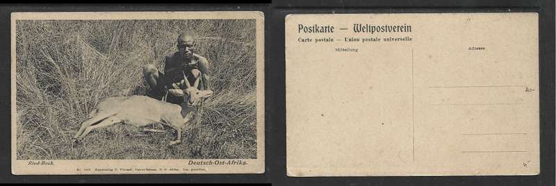 German East Africa, Ried- Bock, dead, with male native, unused