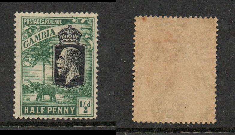 Gambia, GVR, 1925, 1/2d black & deep green, MH *