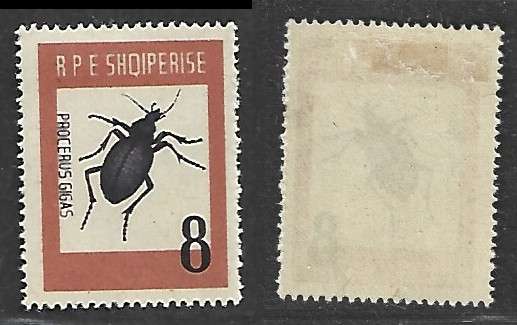 Albania, 1963, 8c, proceras gigas (beetle) MH *
