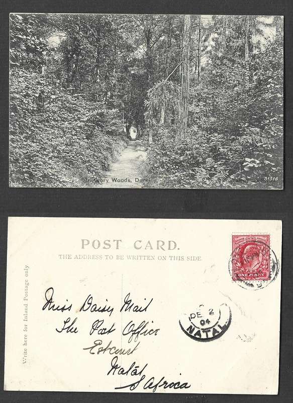 England, postcard, In Glory Woods, Dorking, used 1d, DORKING  NO 11 04 cds >( ESTCOURT) NATAL