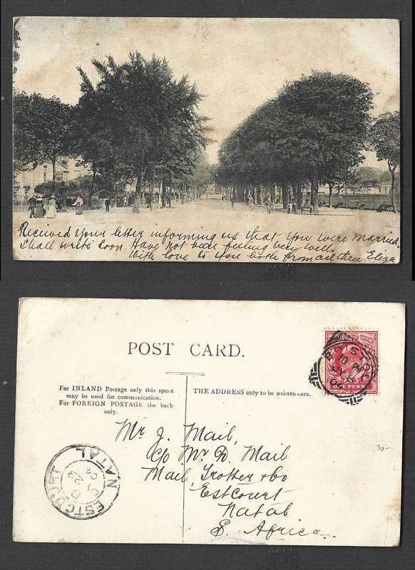 England, post card, unidentified avenue,  used 1d, BRISTOL 11 - JY 8 04 sq. c.d.s. > ESTCOURT NATAL