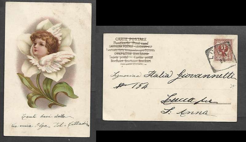 Postcard, sentimental,fantasy, cherub in a flower, used in Italy, 2c, LUCCA sq.c.d.s > S. Anna (ms)