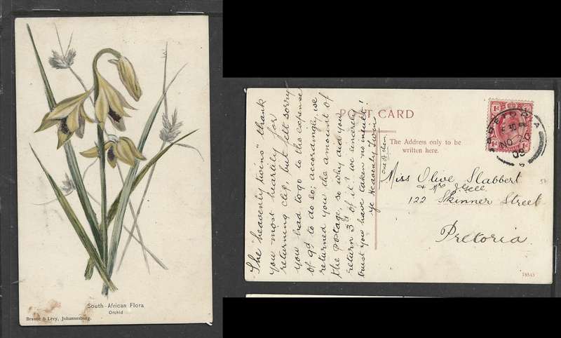 S.A. Flora, orchid, Transvaal 1d, PRETORIA NO 20 09 cds > Pretoria