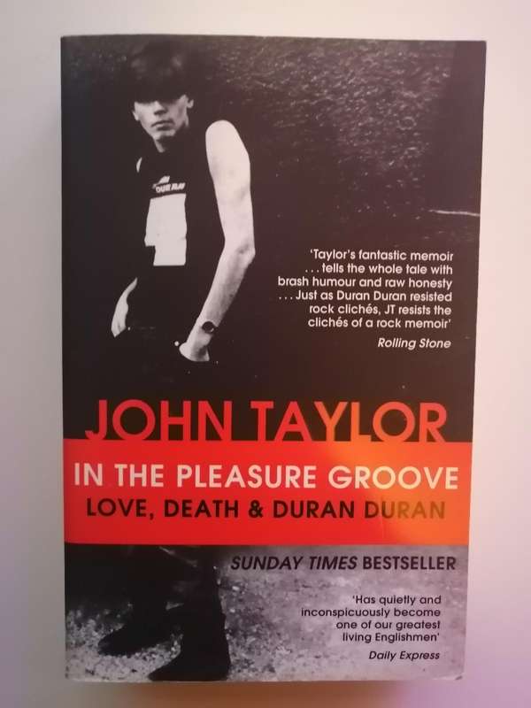 BOOK | IN THE PLEASURE GROOVE BY JOHN TAYLOR