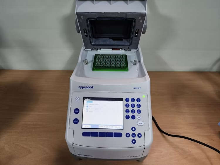 Eppendorf Flexlid Mastercycler PCR Thermal cycler