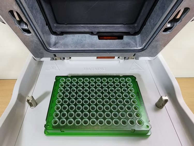 Eppendorf Flexlid Mastercycler PCR Thermal cycler