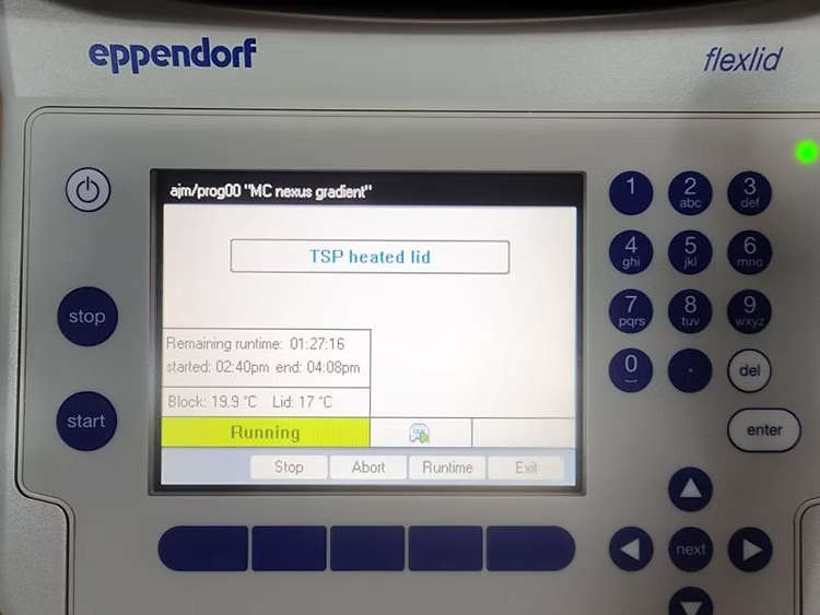 Eppendorf Flexlid Mastercycler PCR Thermal cycler