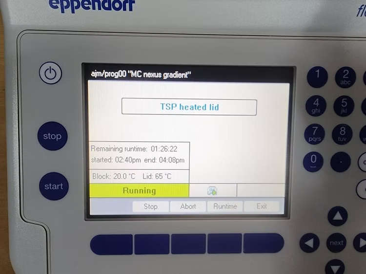 Eppendorf Flexlid Mastercycler PCR Thermal cycler