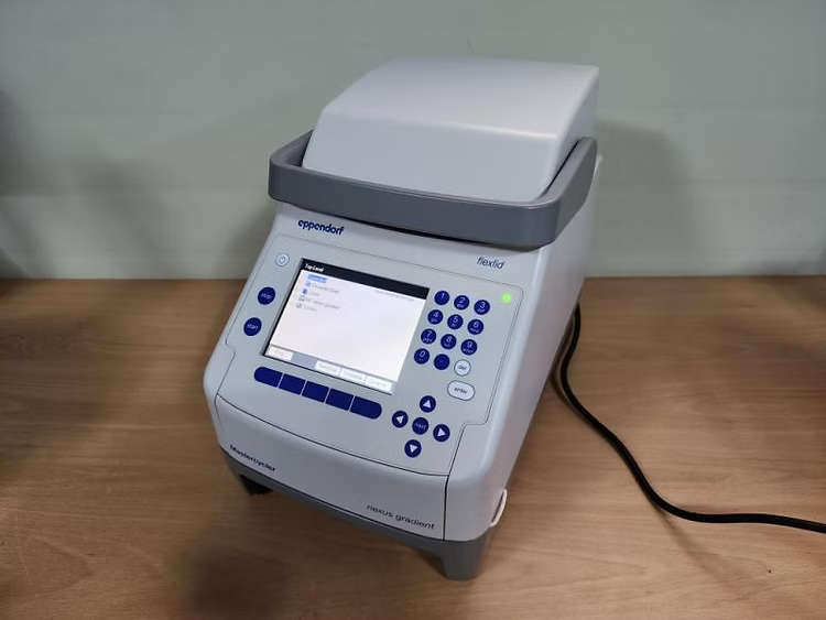 Eppendorf Flexlid Mastercycler PCR Thermal cycler
