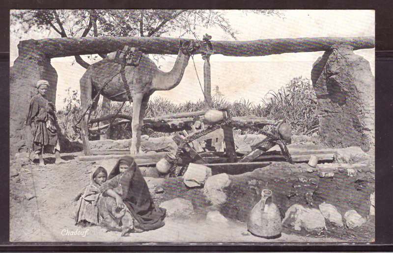 Post Cart from 1890s from Egypt.