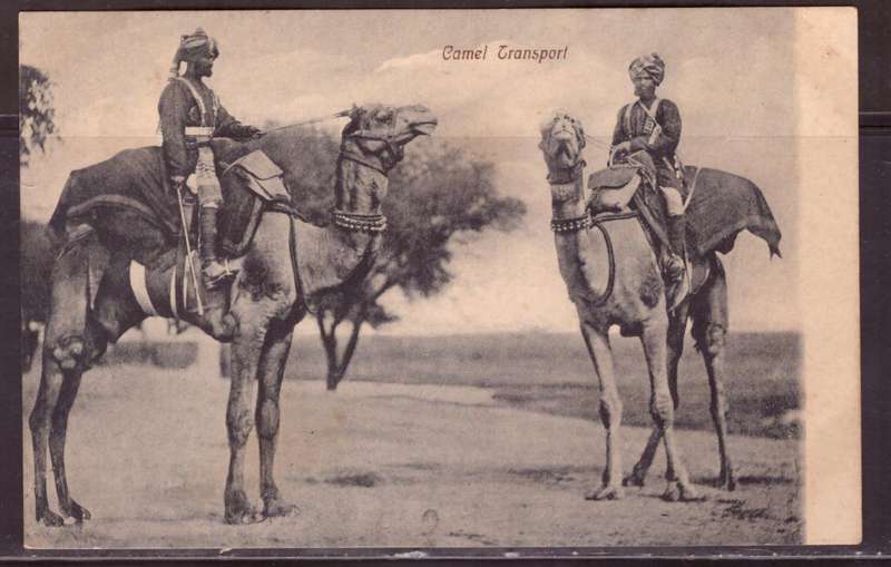 Post Cart from 1890s from Egypt.