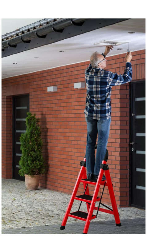 Foldable and Extendable Multi-Functional Ladder