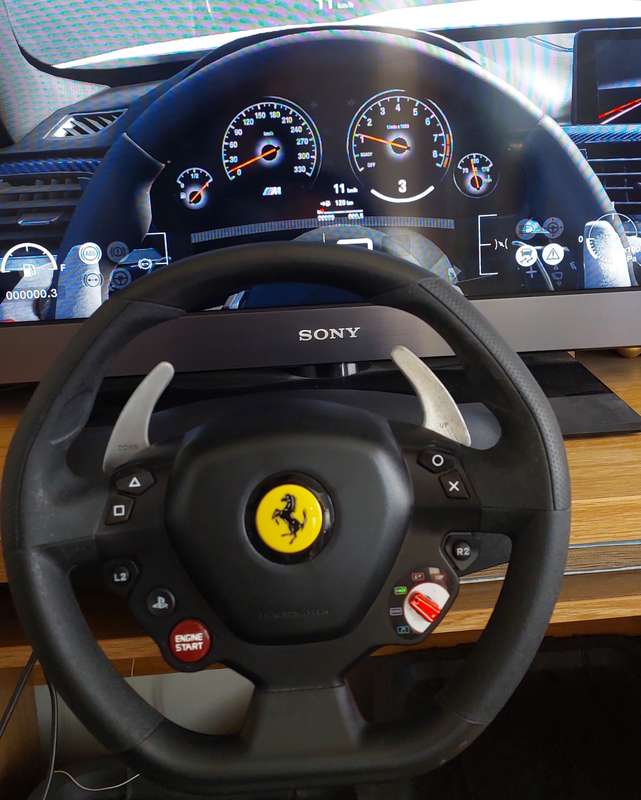 Thrustmaster T80