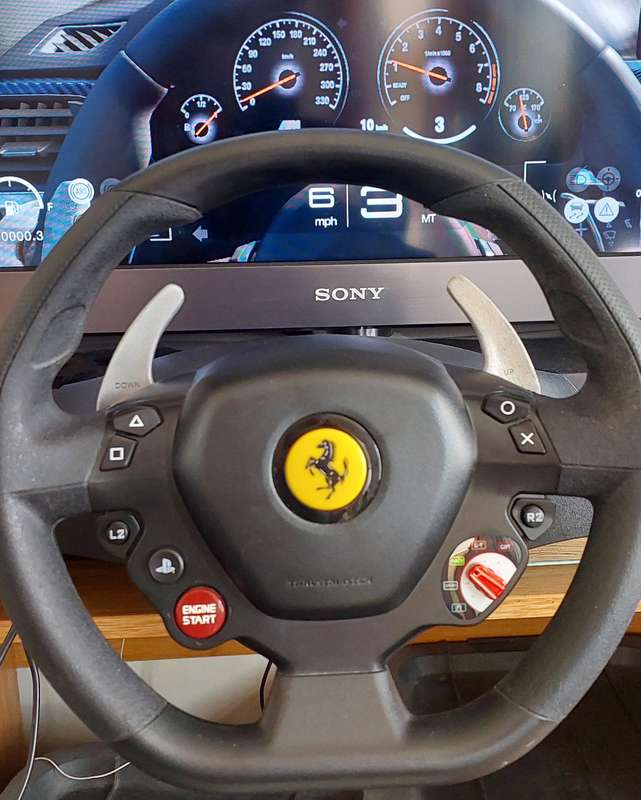 Thrustmaster T80