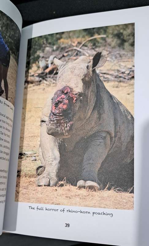 The Poacher's Moon By Richard Peirce Rhino's big 5 wildlife conservation game reserve South Africa