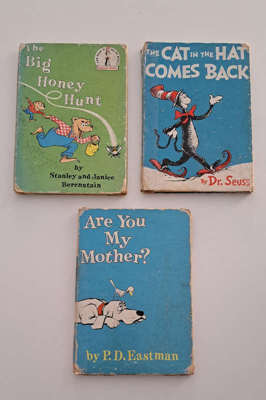 3x Dr Seuss, Stanley & Janice Berenstain, PD Eastman classic kids children's story picture books