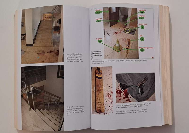 Behind The Door The Oscar Pistorius & Reeva Steenkamp Story Mandy Wiener true crime South Africa