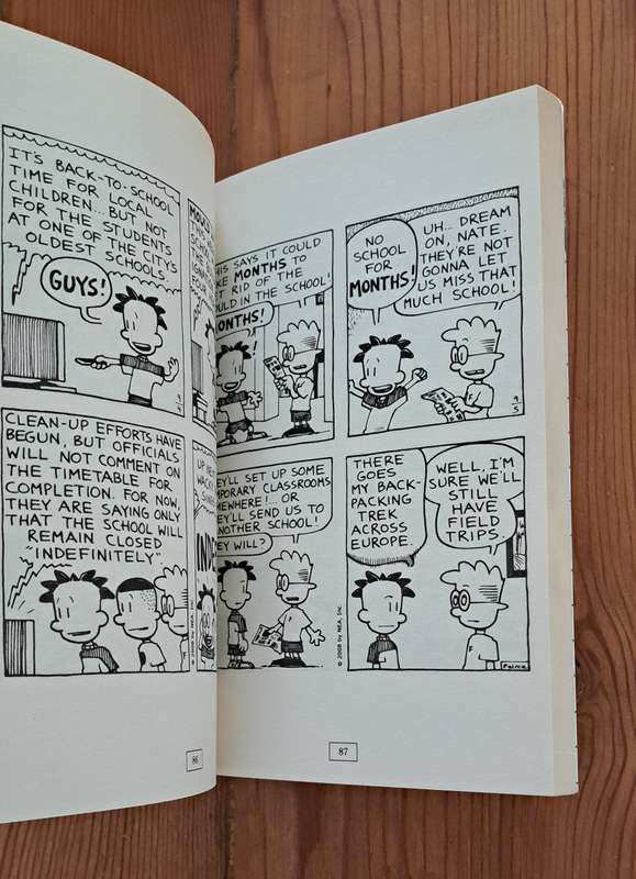 Big Nate Here Goes Nothing By Lincoln Peirce graphic cartoon comic book strip kids children realisti
