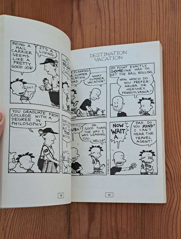 Big Nate Here Goes Nothing By Lincoln Peirce graphic cartoon comic book strip kids children realisti
