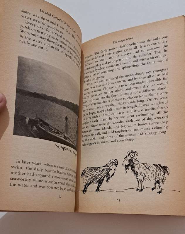 Boy By Roald Dahl (1984) biography true memoir children kids story classic humor funny rare vintage