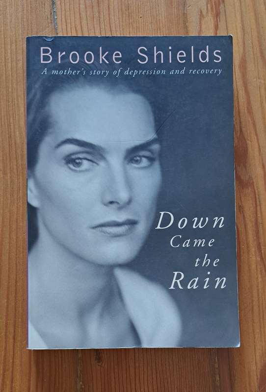 Down Came the Rain A Mother's Story Of Depression & Recovery memoir biography movie actress film