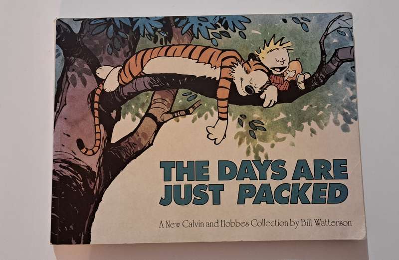 Calvin & Hobbes The Days Are Just Packed By Bill Watterson graphic novel cartoon comic classic