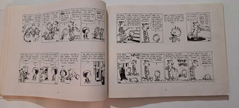 Calvin & Hobbes The Days Are Just Packed By Bill Watterson graphic novel cartoon comic classic