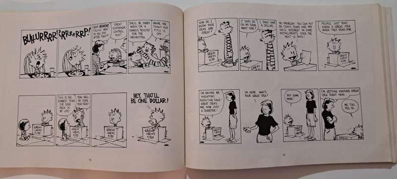 Calvin & Hobbes The Days Are Just Packed By Bill Watterson graphic novel cartoon comic classic