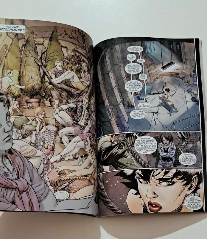 DC comic books Catwoman TPB (2012-2016 DC Comics The New 52) #2 rare old collectable