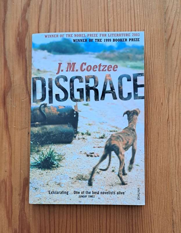 Disgrace By J M Coetzee fiction South Africa literature novel classic romantic poetry chic lit love