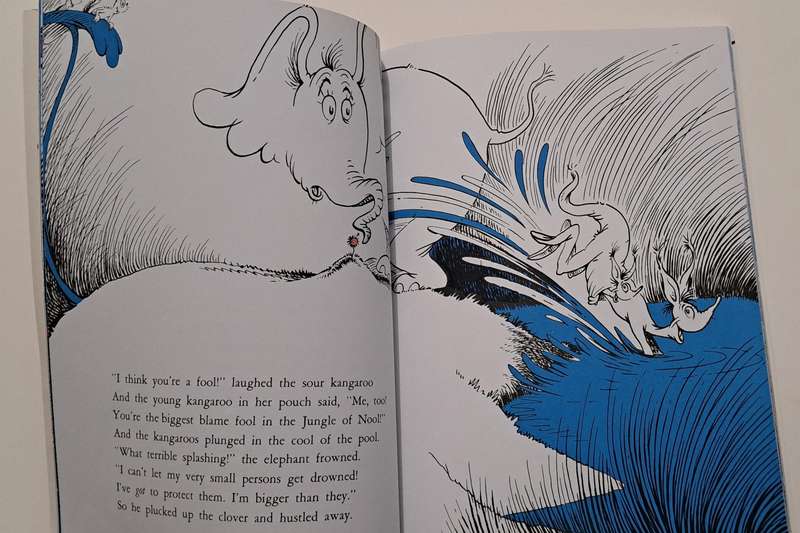 Dr Seuss Makes Reading Fun Horton Hears A Who kids children's classic picture story book