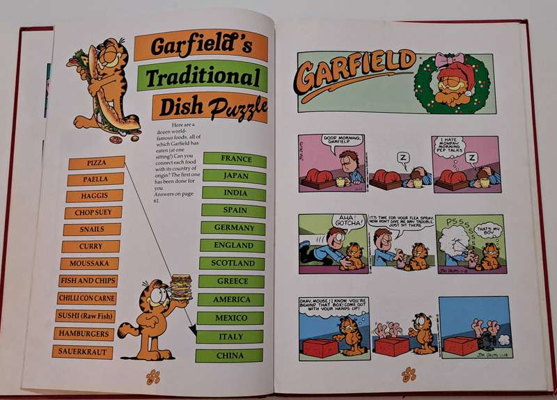 Garfield Annual By Jim Davis cartoon comic classic iconic children kids