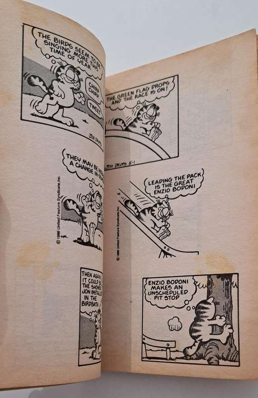 Garfield In The Pink By Jim Davis 1987 cartoon comic book strip rare vintage old retro humor comedy