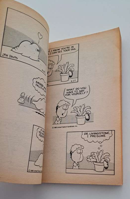 Garfield What's Cooking By Jim Davis (1984) retro old rare vintage cartoon comic book collectable ki