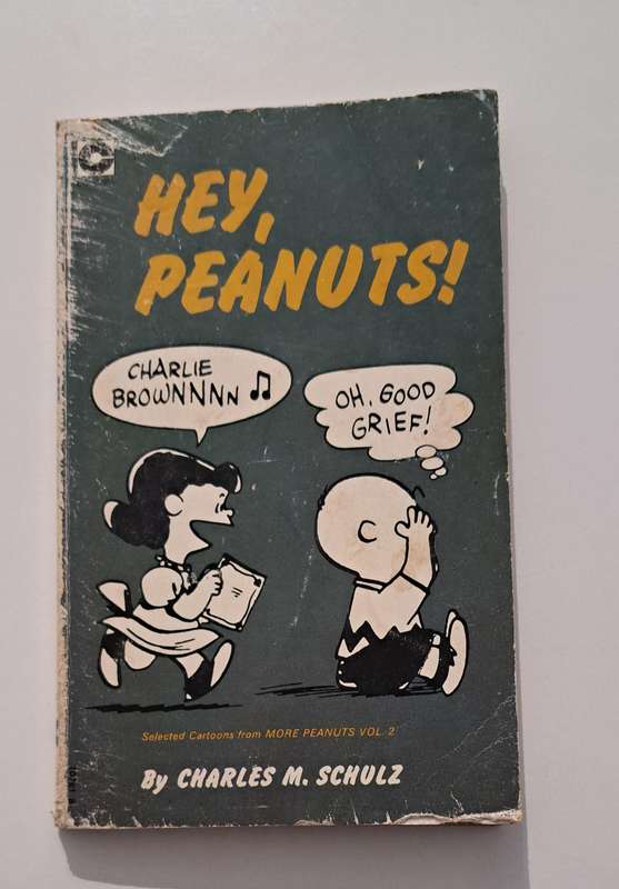 Hey Peanuts By Charles M Schulz 1973 cartoon comic book strip old vintage rare Charlie Brown