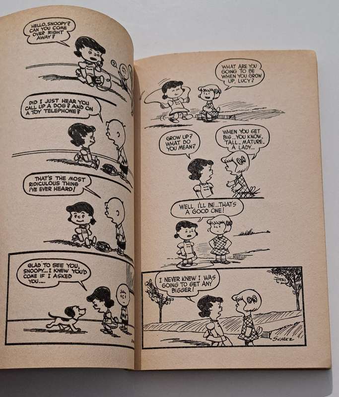 Hey Peanuts By Charles M Schulz 1973 cartoon comic book strip old vintage rare Charlie Brown